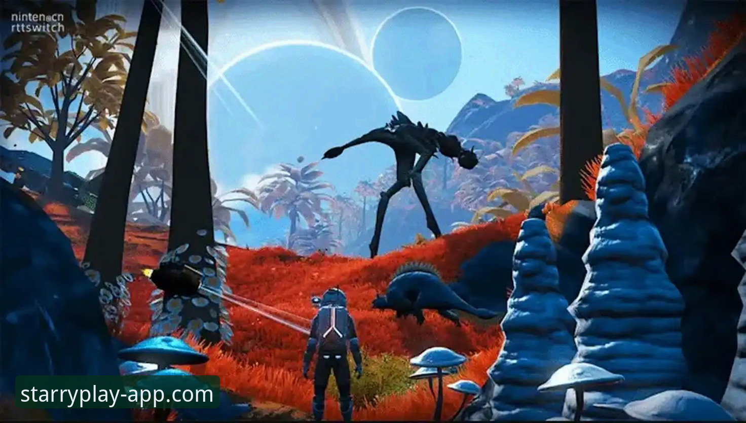 星空体育平台选择与竞品对比完整指南：2025版深度体验分享